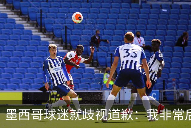 墨西哥球迷就歧视道歉：我非常后悔，已辞去工程师协会职务